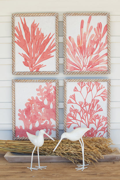 Coastal Coral Framed Prints - Set of 4