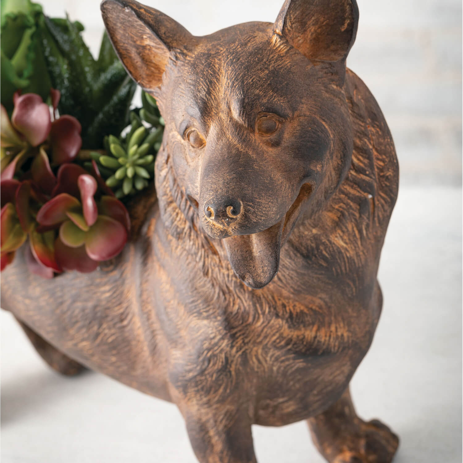 Corgi Planter Close-up