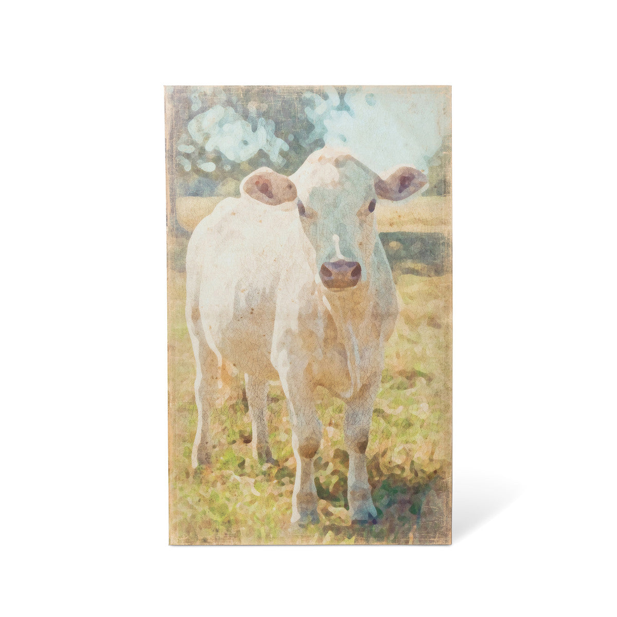 Curious Cow Canvas Print