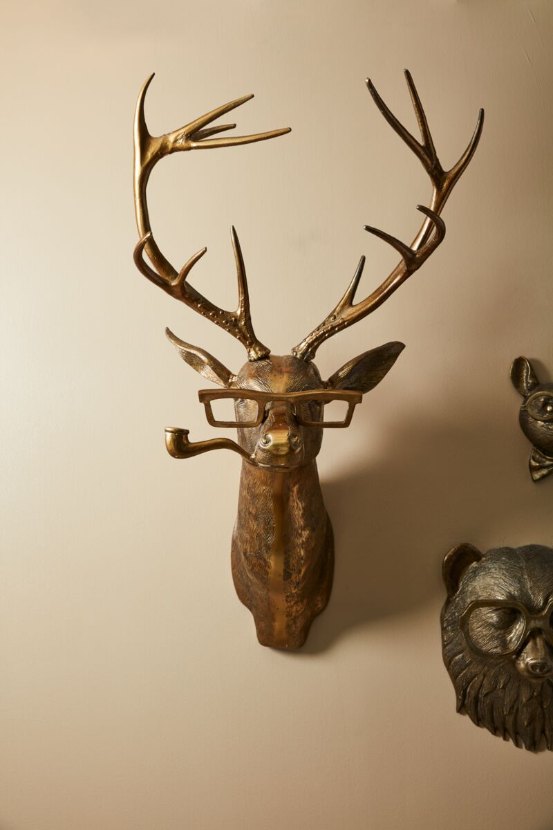 Frankie the Stag Wall Mount Displayed