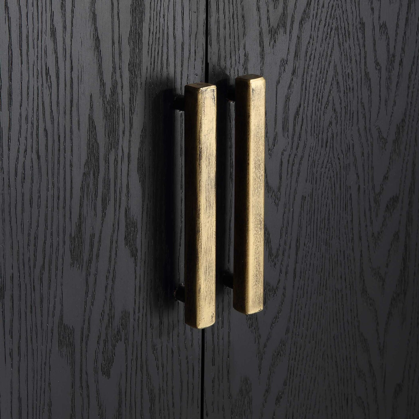 Front Range Dark Oak 2 Door Cabinet