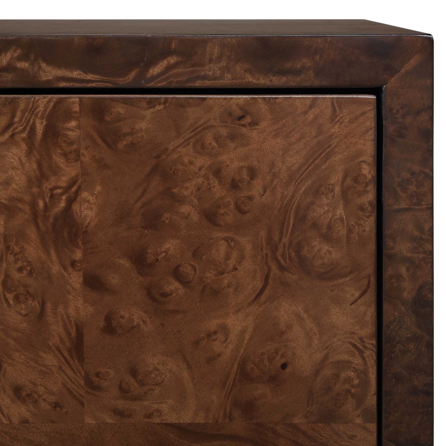 Jethro Burl 2 Door Cabinet