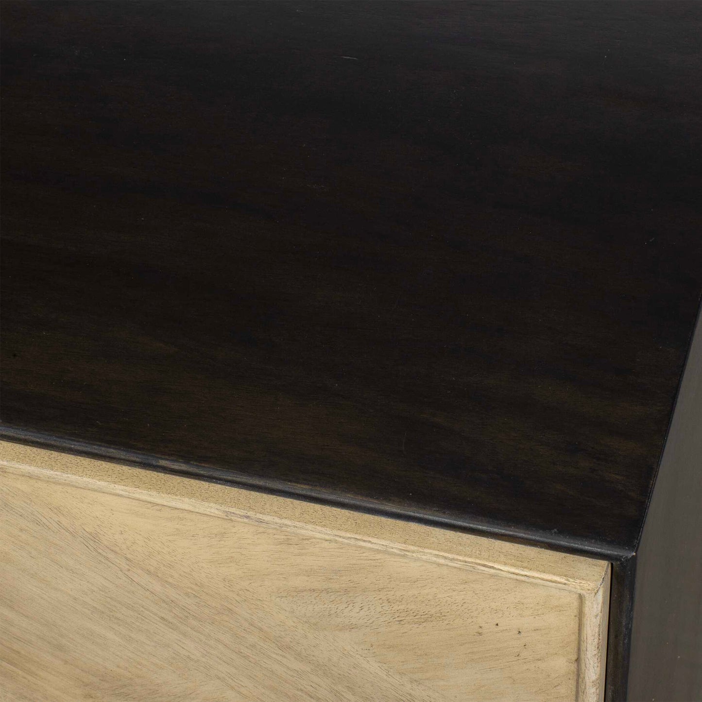 Reina Modern 2 Door Cabinet
