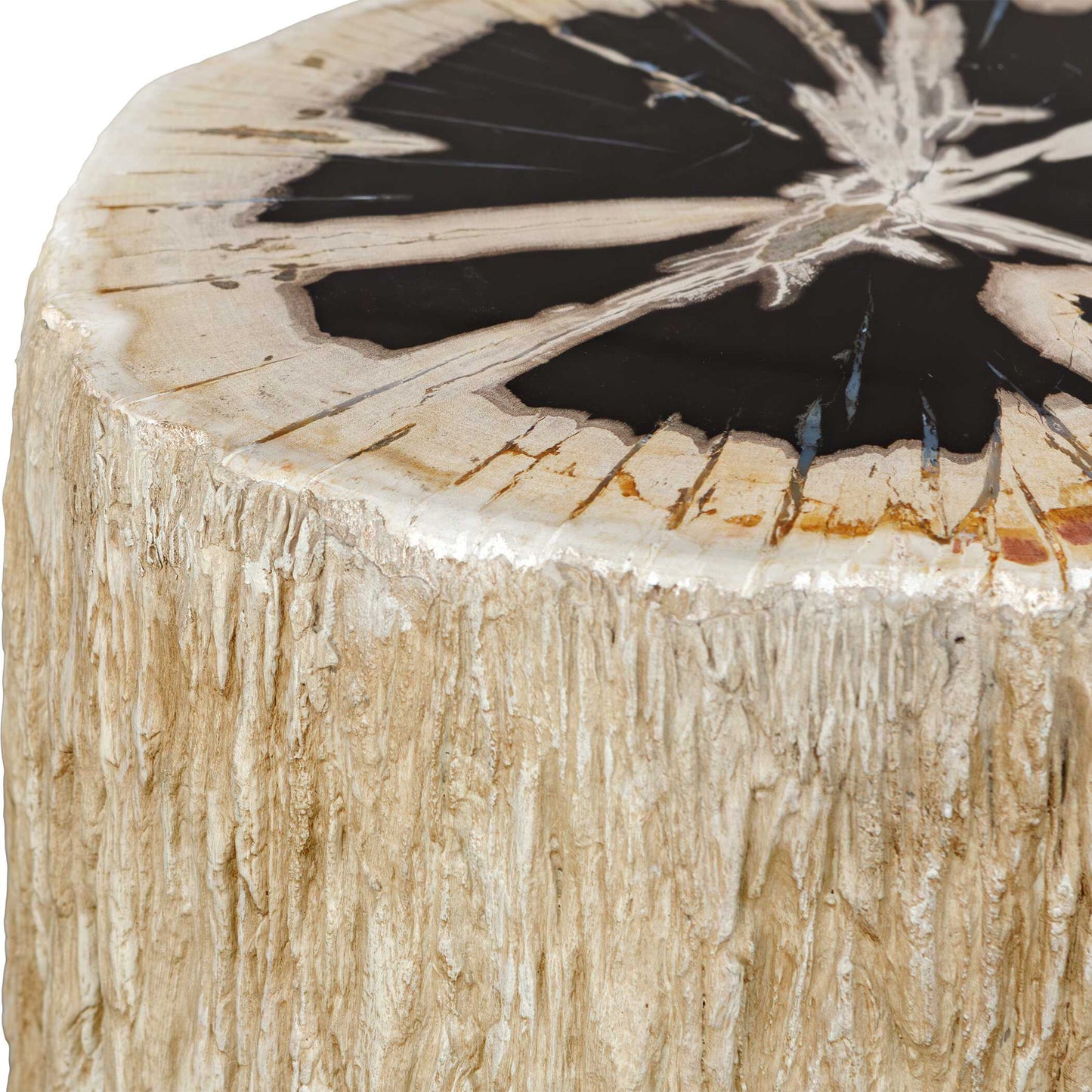 Arco Petrified Wood Top Accent Table