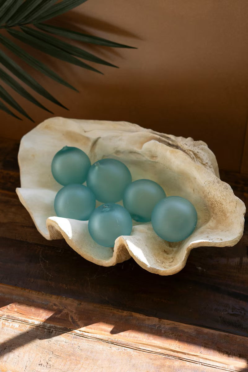 Large Clam Shell