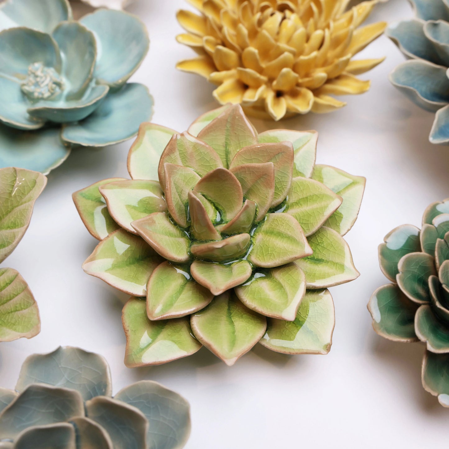 Green Succulent Ceramic Wall Flower