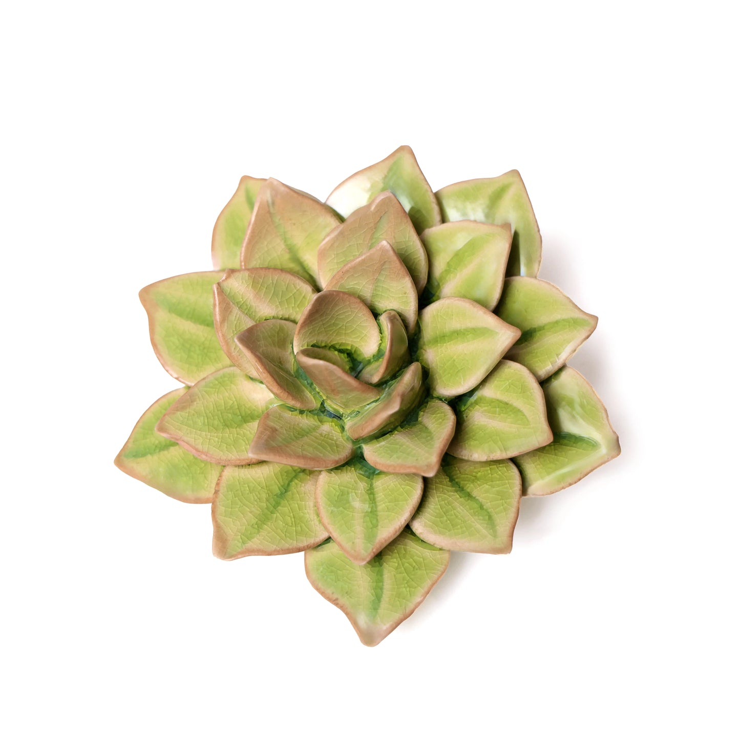 Green Succulent Ceramic Wall Flower