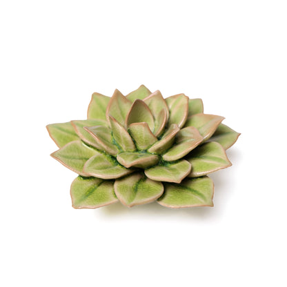 Green Succulent Ceramic Wall Flower