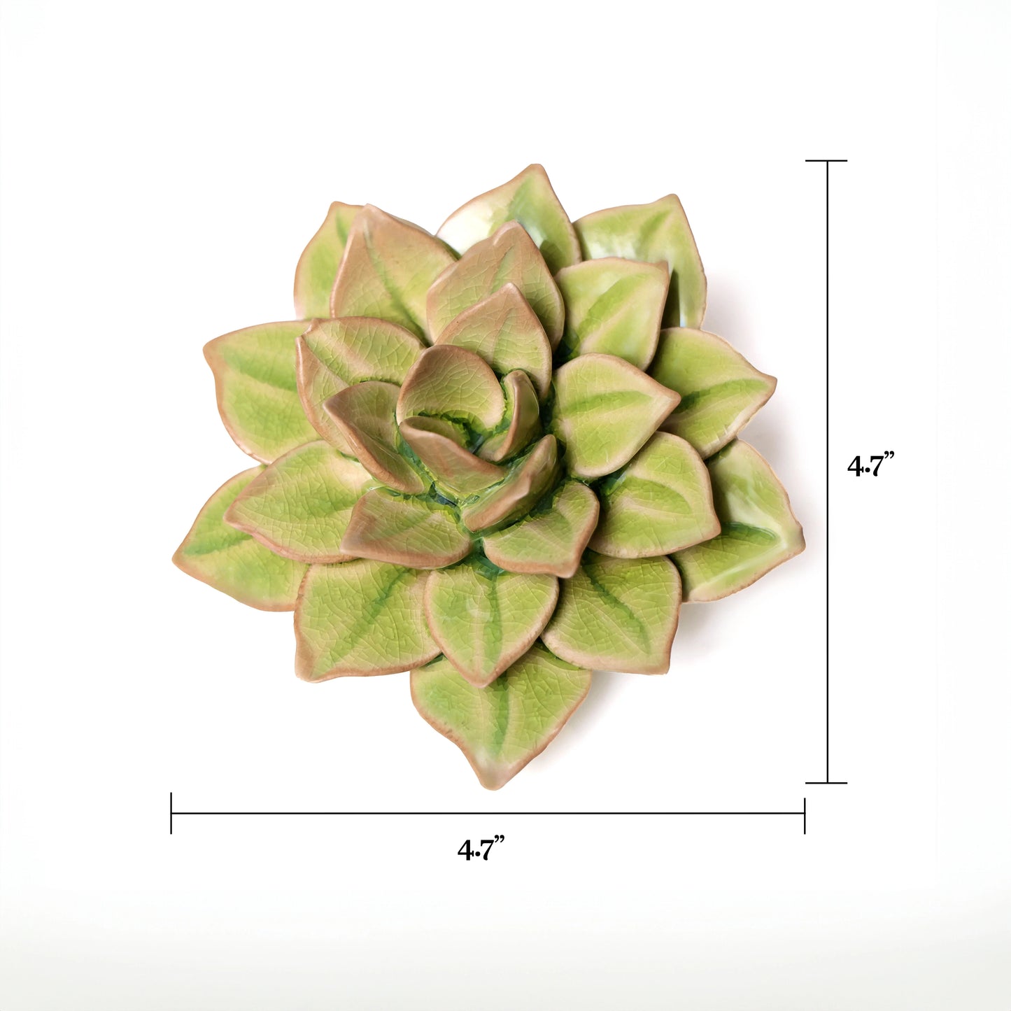 Green Succulent Ceramic Wall Flower