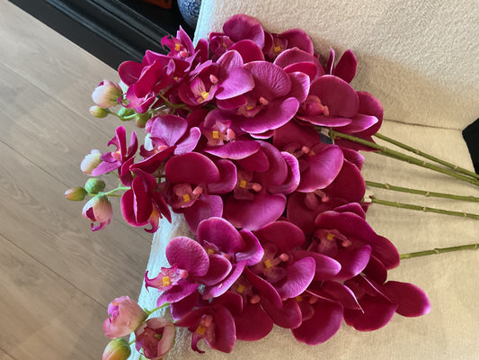 31” Mauve Orchid
