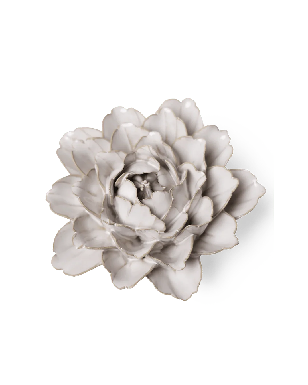 Ivory Peony Wall Flower