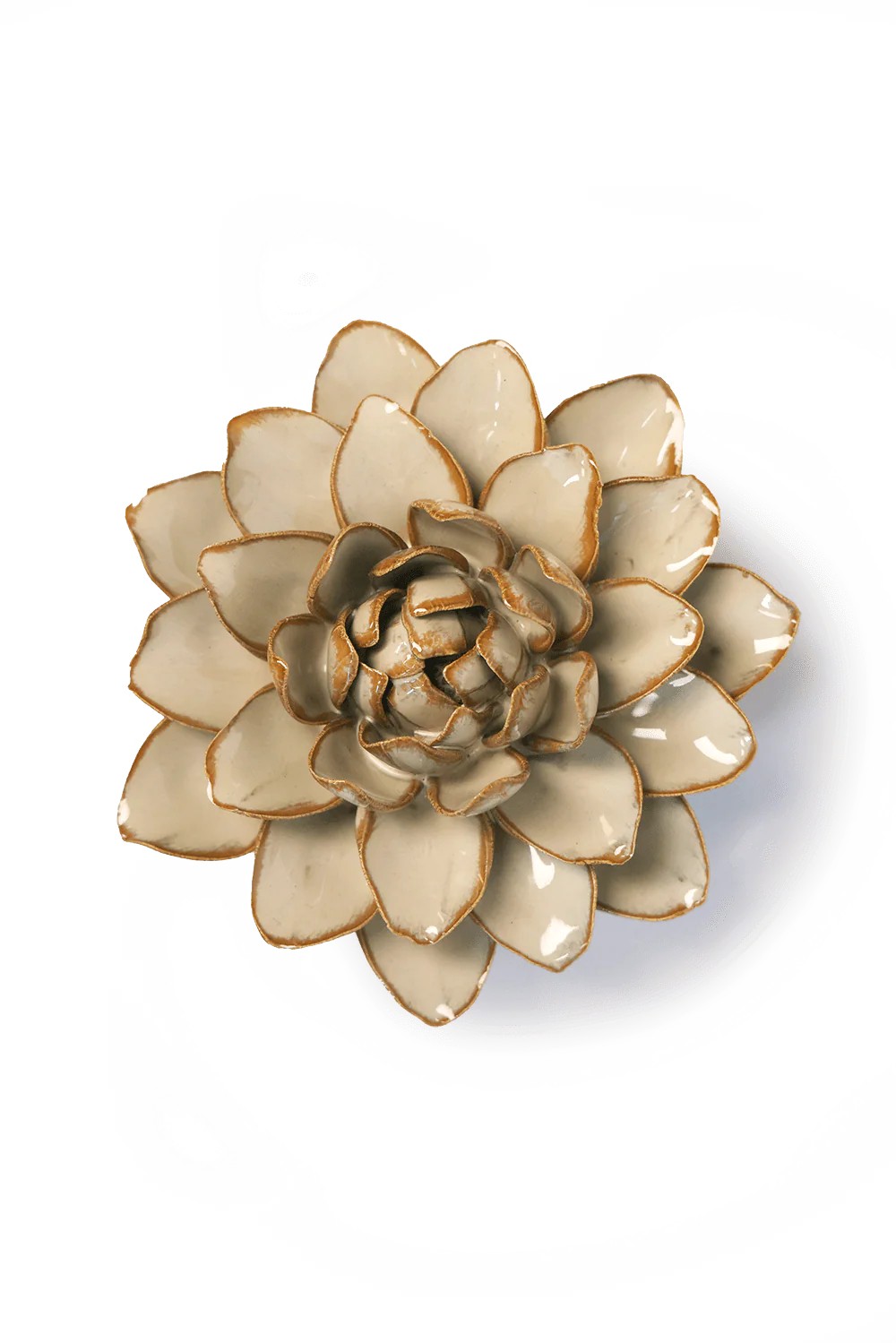 Oatmeal Water Lily Wall Flower