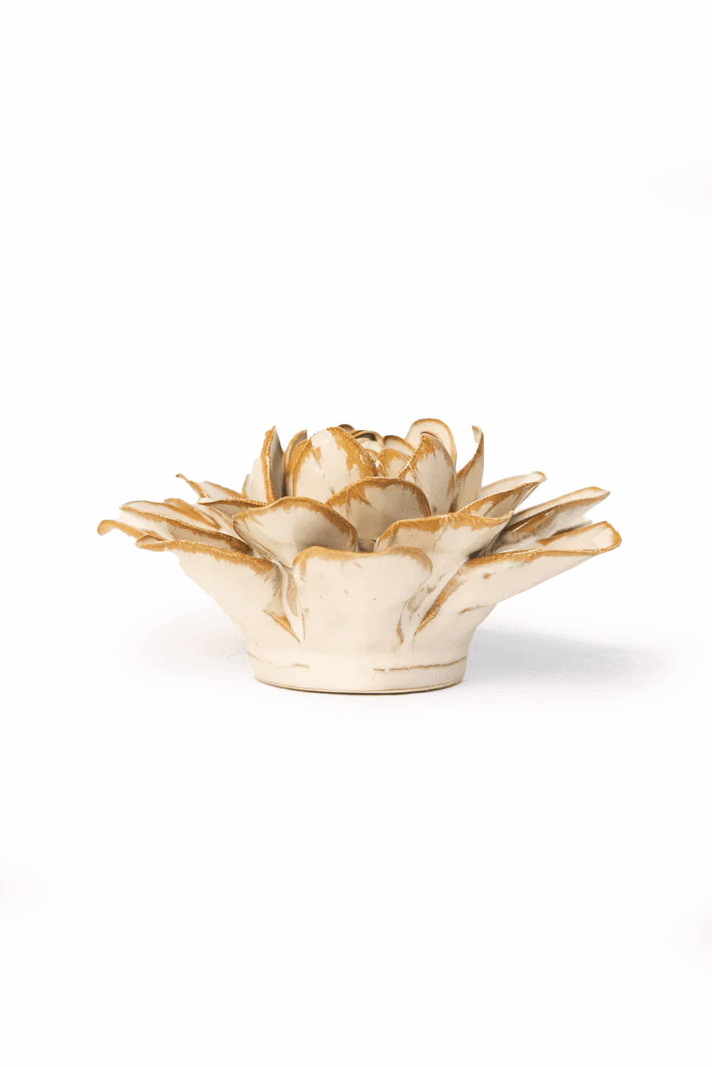 Oatmeal Water Lily Wall Flower