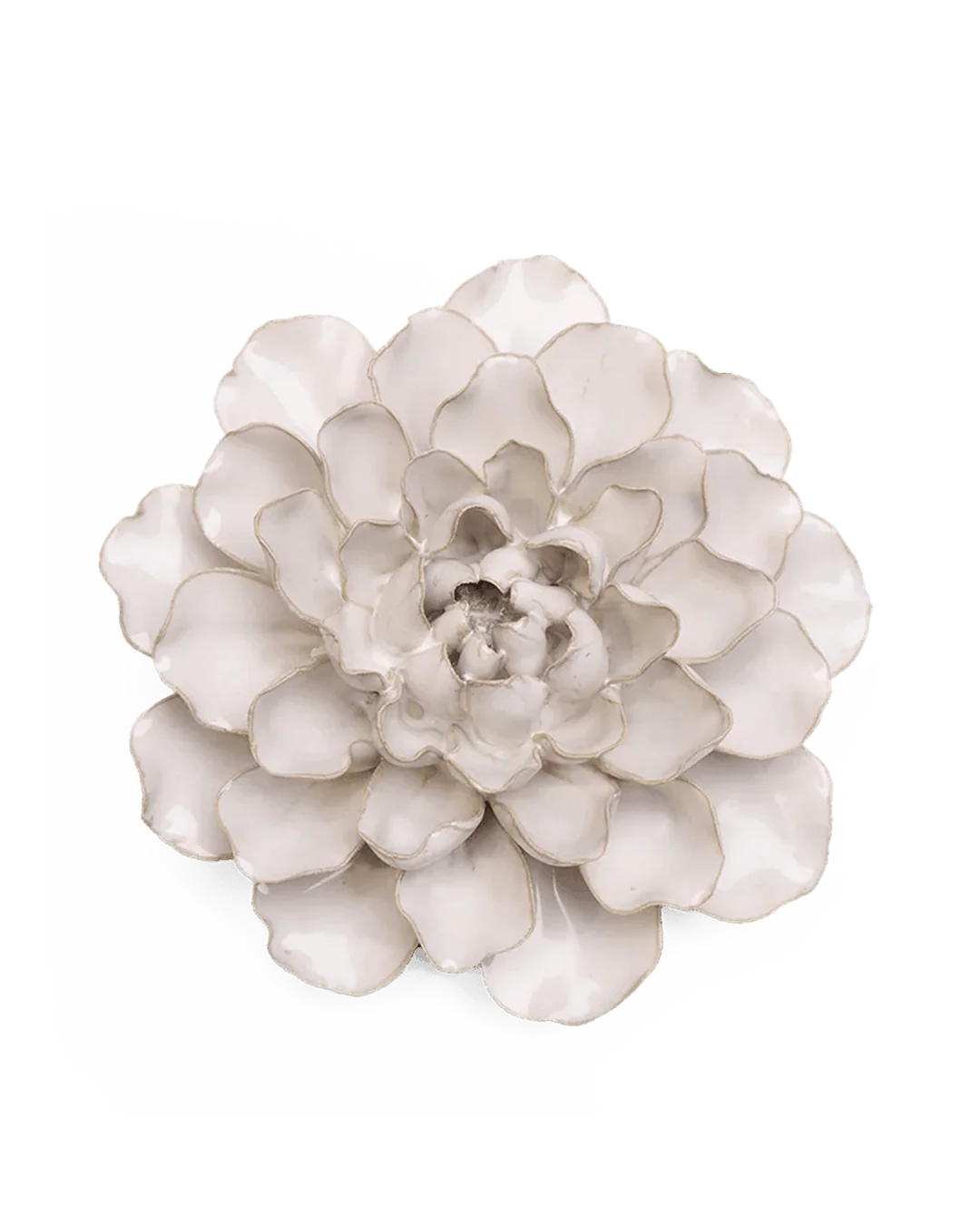 Ivory Water Lily Wall Flower