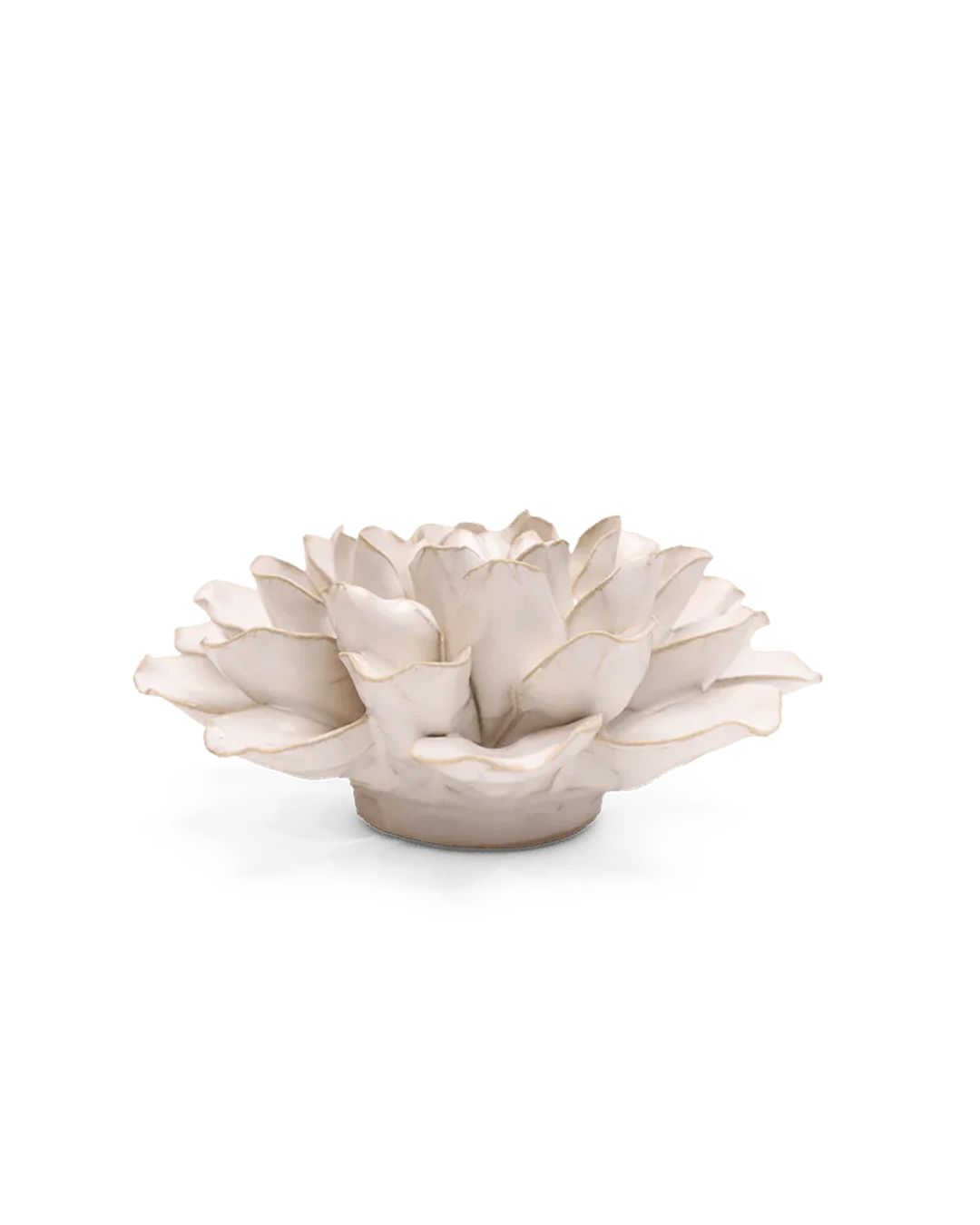 Ivory Water Lily Wall Flower