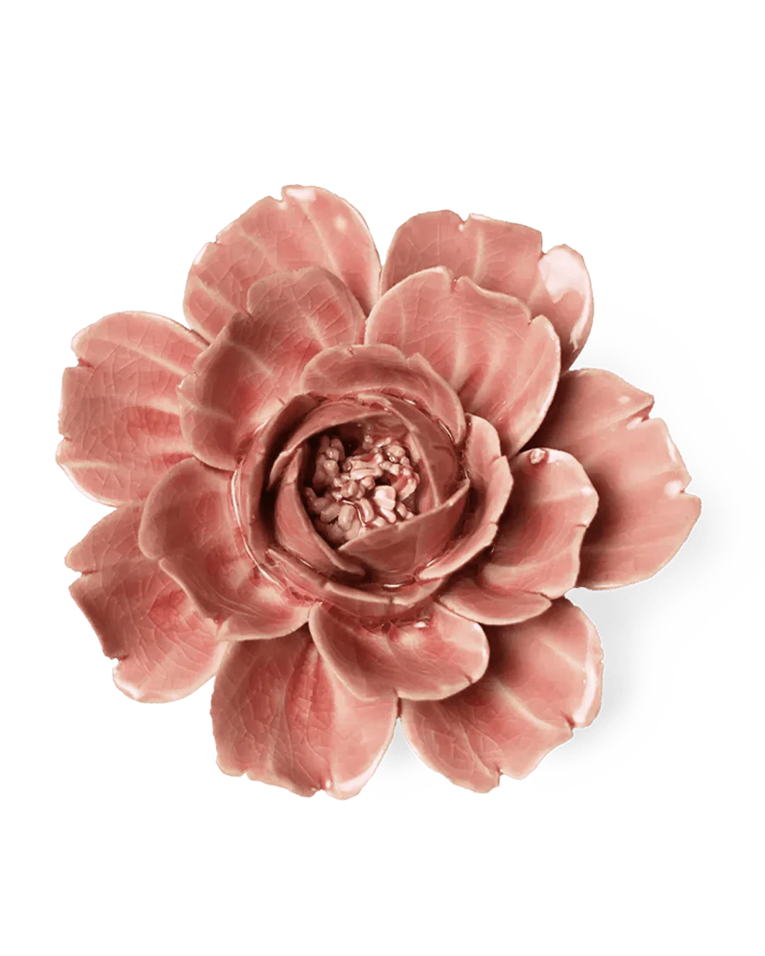 Champagne Pink Rose Wall Flower