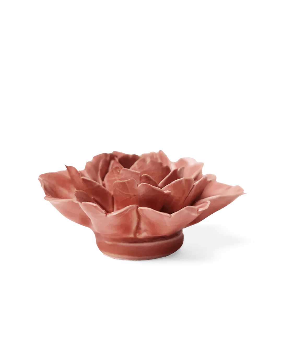 Champagne Pink Rose Wall Flower