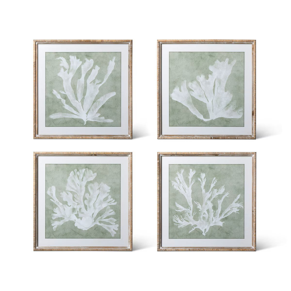 Isla Framed Coral Wall Art - Set of 4