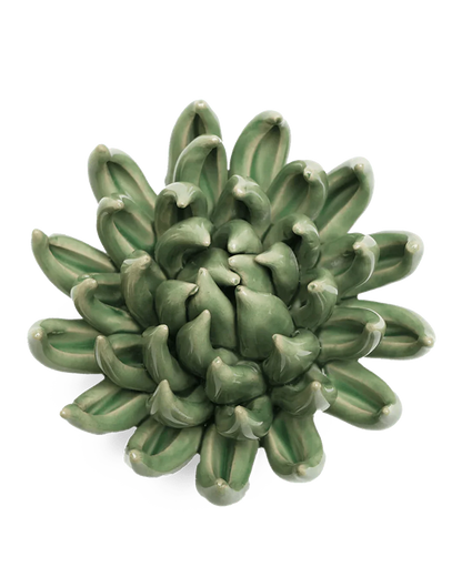 Jade Green Succulent Wall Flower