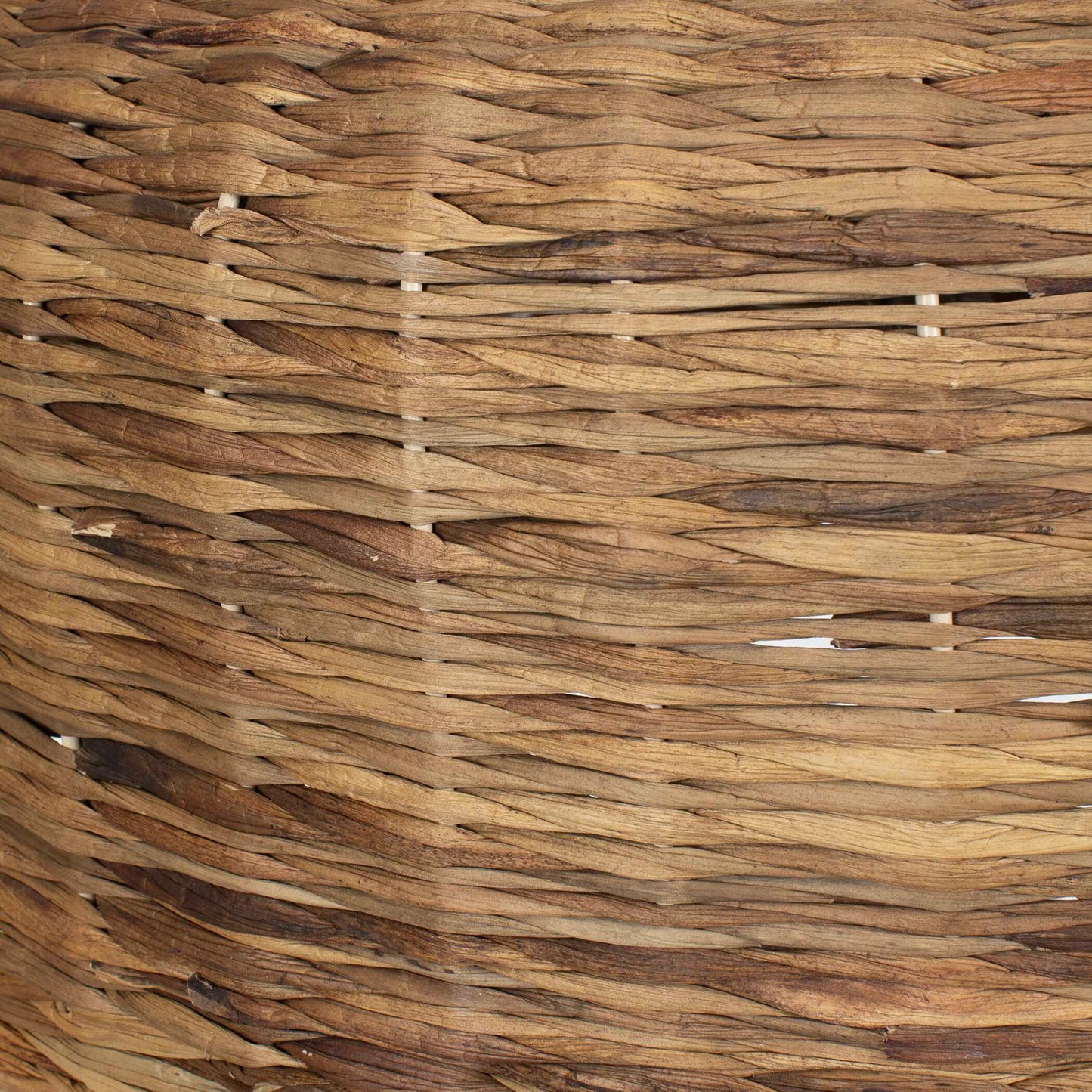 Tauranga Seagrass 5 Light Pendant