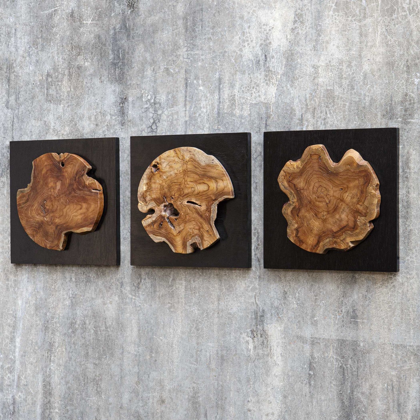 Kolini Teak Wood Wall Decor Set/3