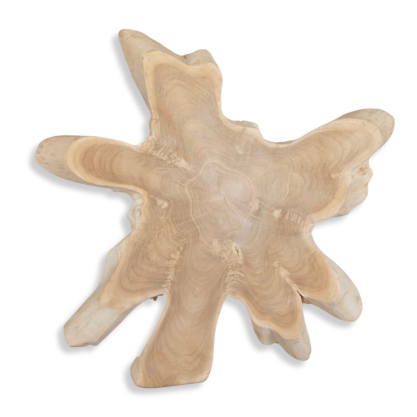Terrains Natural Wood Wall Decor