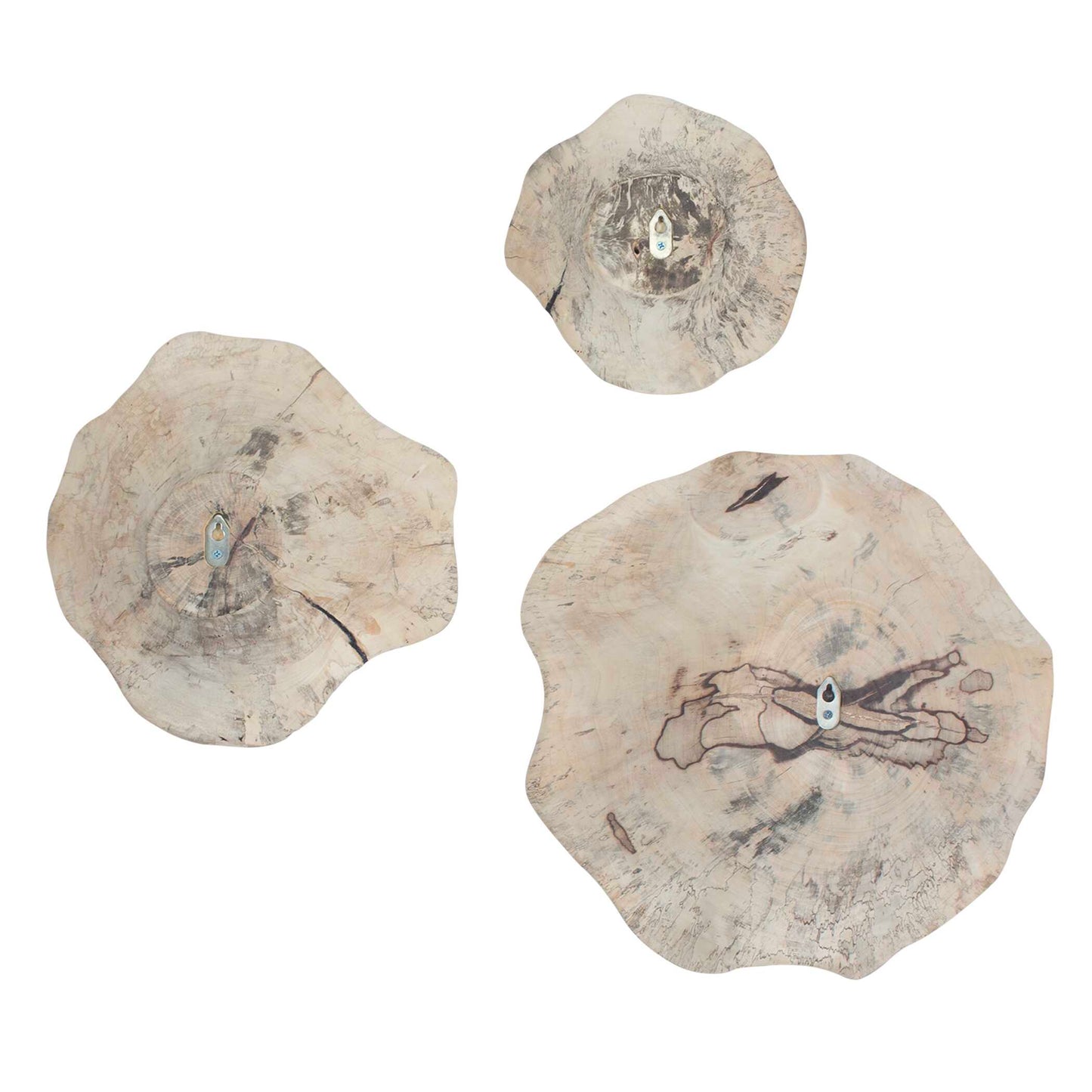 Teo Bleached Wood Wall Decor Set/3