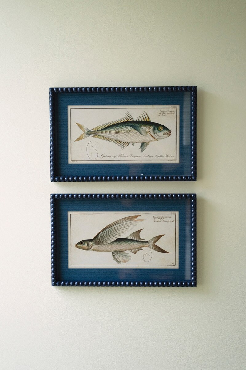 Navy Framed Fish Prints - Set of 2