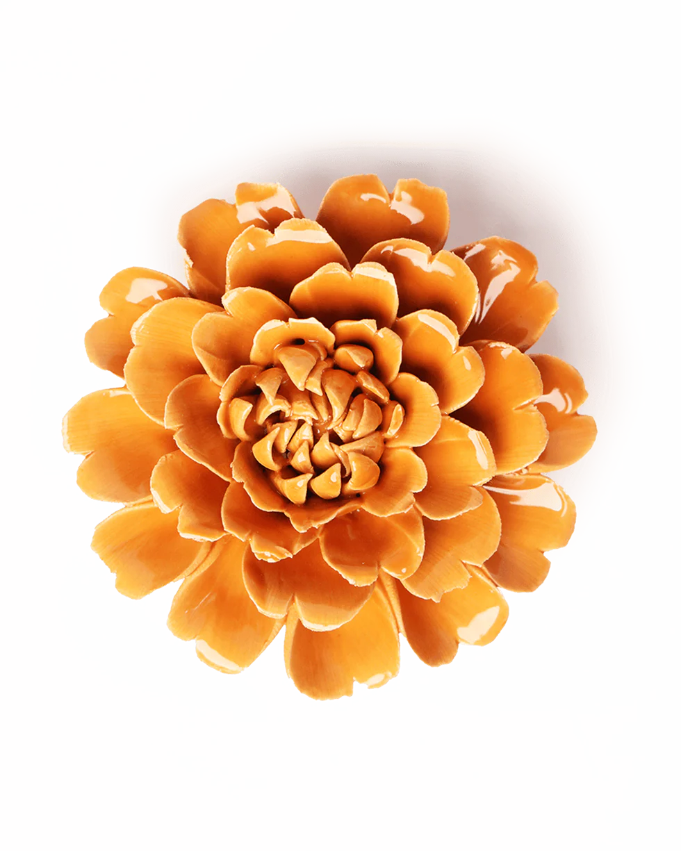 Orange Fiesta Marigold Wall Flower