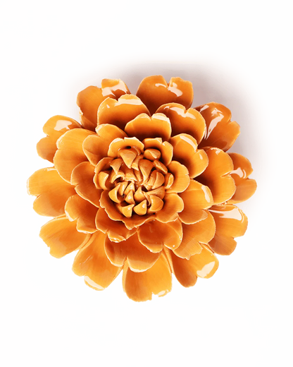 Orange Fiesta Marigold Wall Flower
