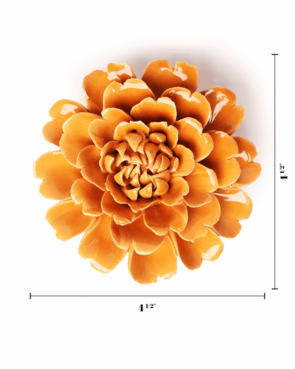 Orange Fiesta Marigold Wall Flower