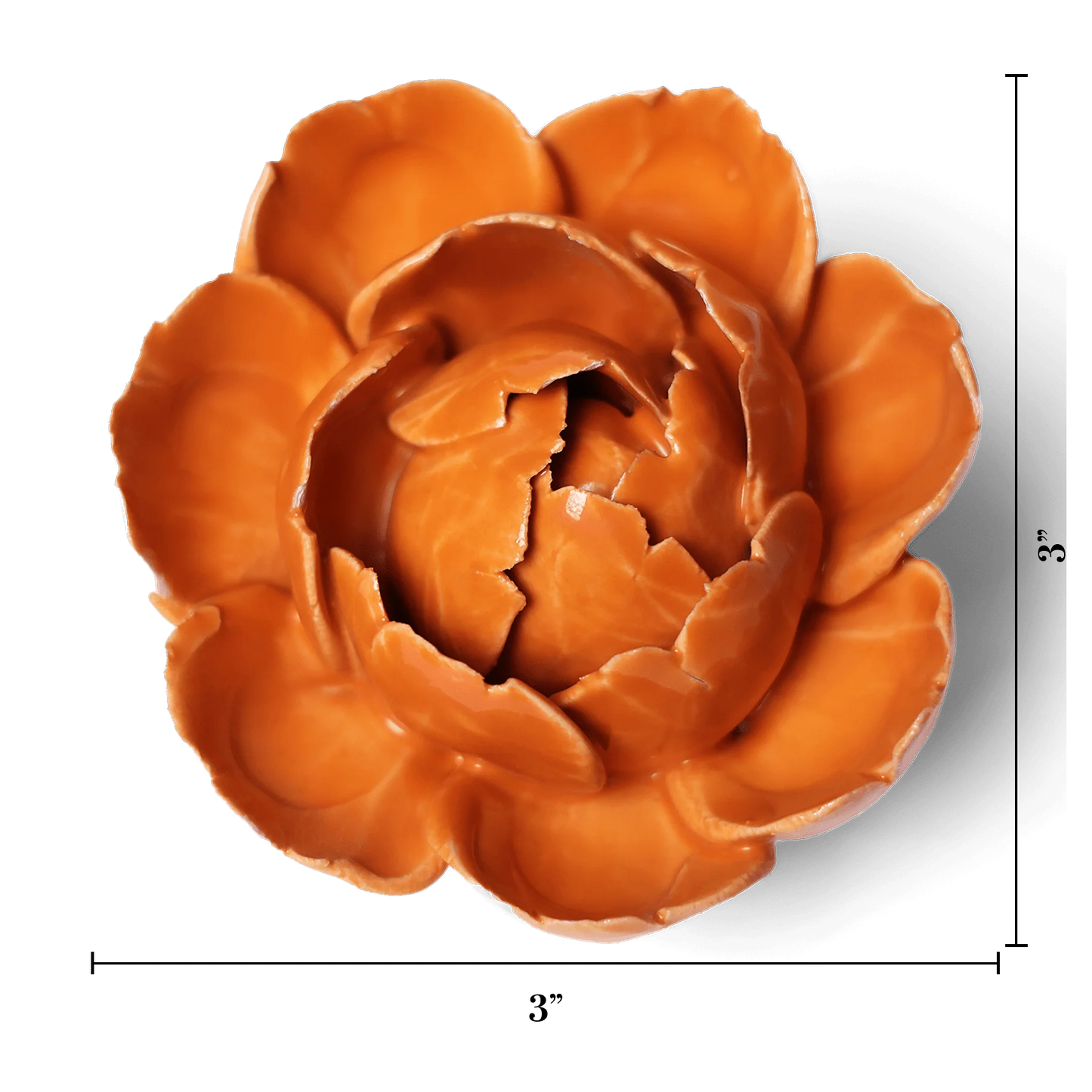 Orange Peony Wall Flower