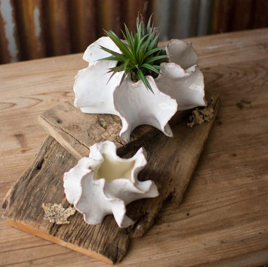 Organic Ceramic Planters