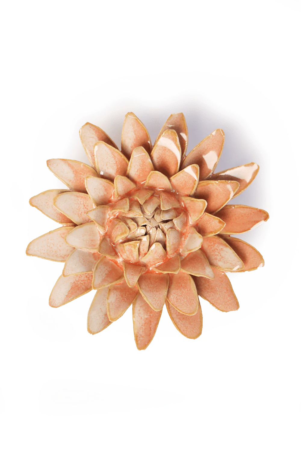 Peach Strawflower Wall Decor