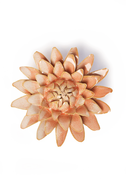 Peach Strawflower Wall Decor