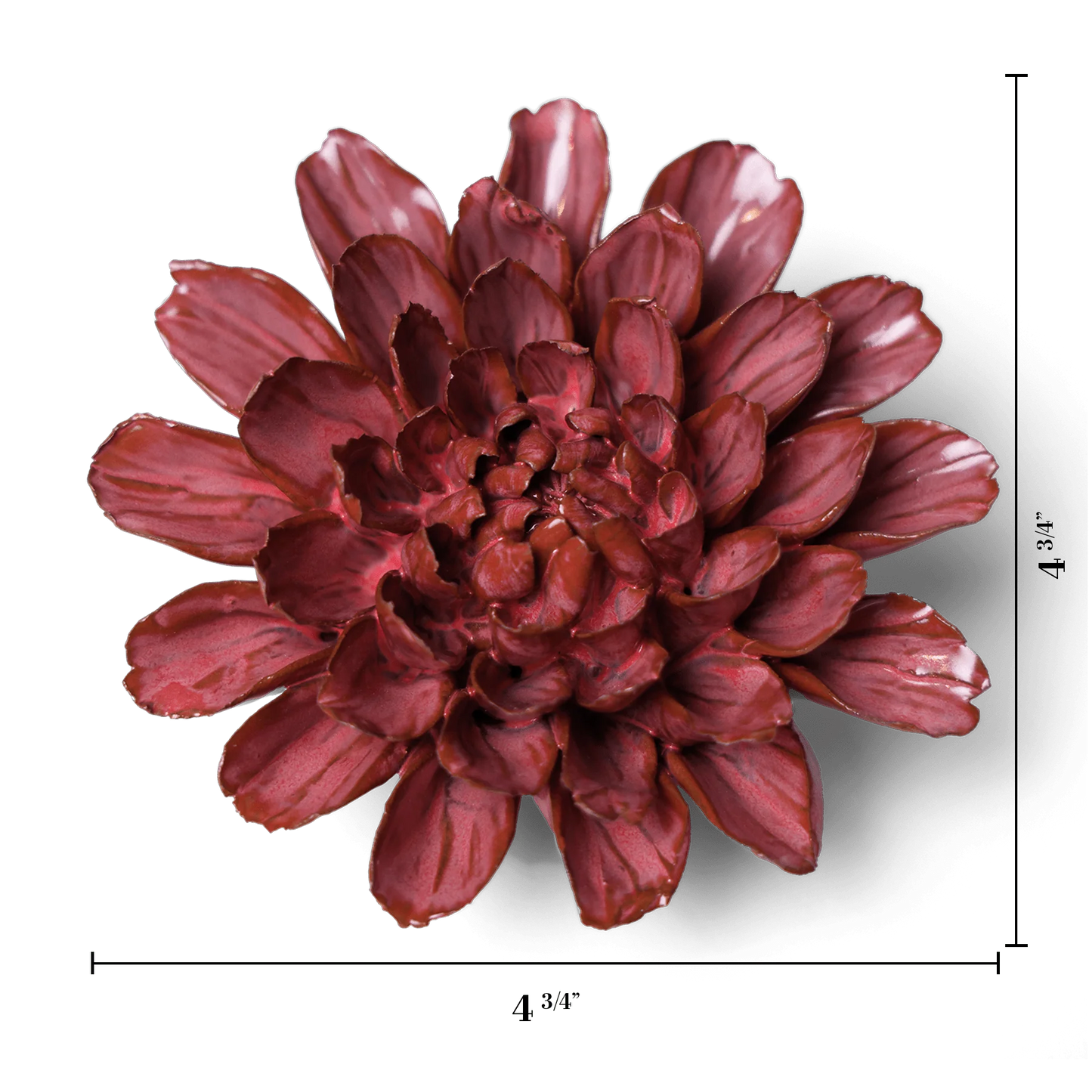 Pink Star Dahlia Wall Flower