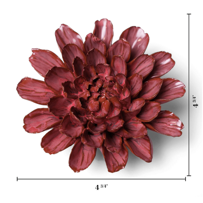 Pink Star Dahlia Wall Flower