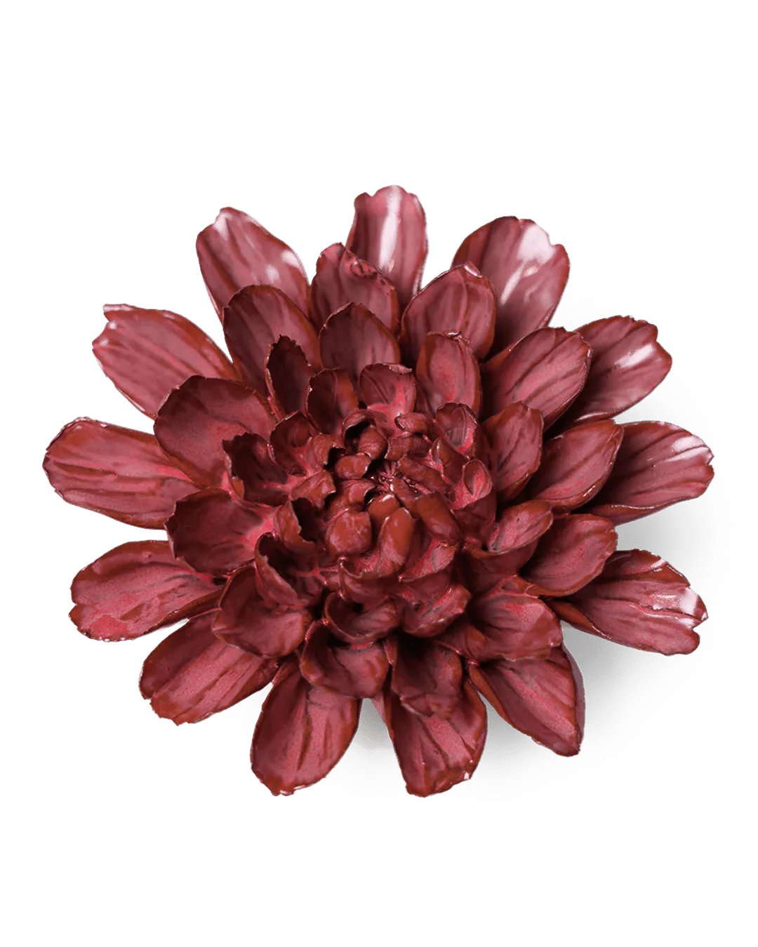 Pink Star Dahlia Wall Flower