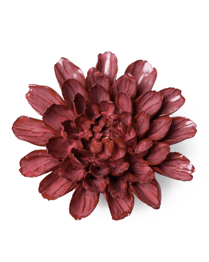 Pink Star Dahlia Wall Flower
