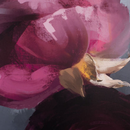 Plum Ranunculus Framed Canvas