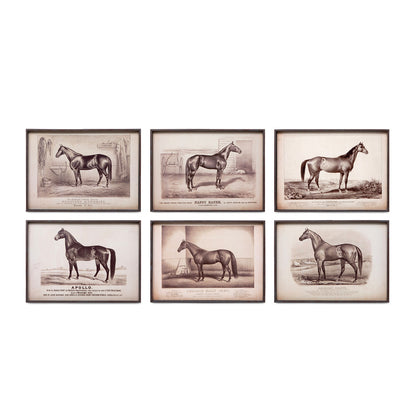 Prized Race Horse Framed Prints - Set of 6