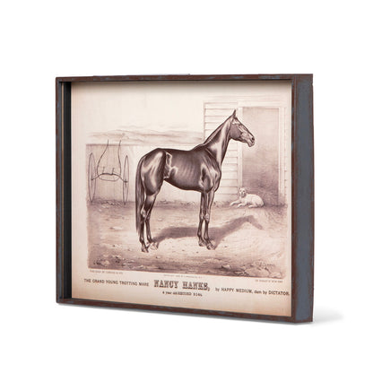 Prized Race Horse Framed Prints - Set of 6