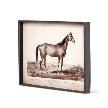 Prized Race Horse Framed Prints - Set of 6