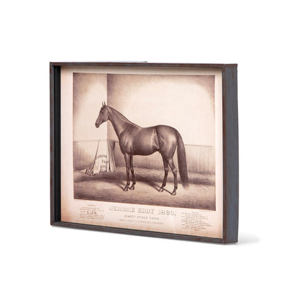 Prized Race Horse Framed Prints - Set of 6