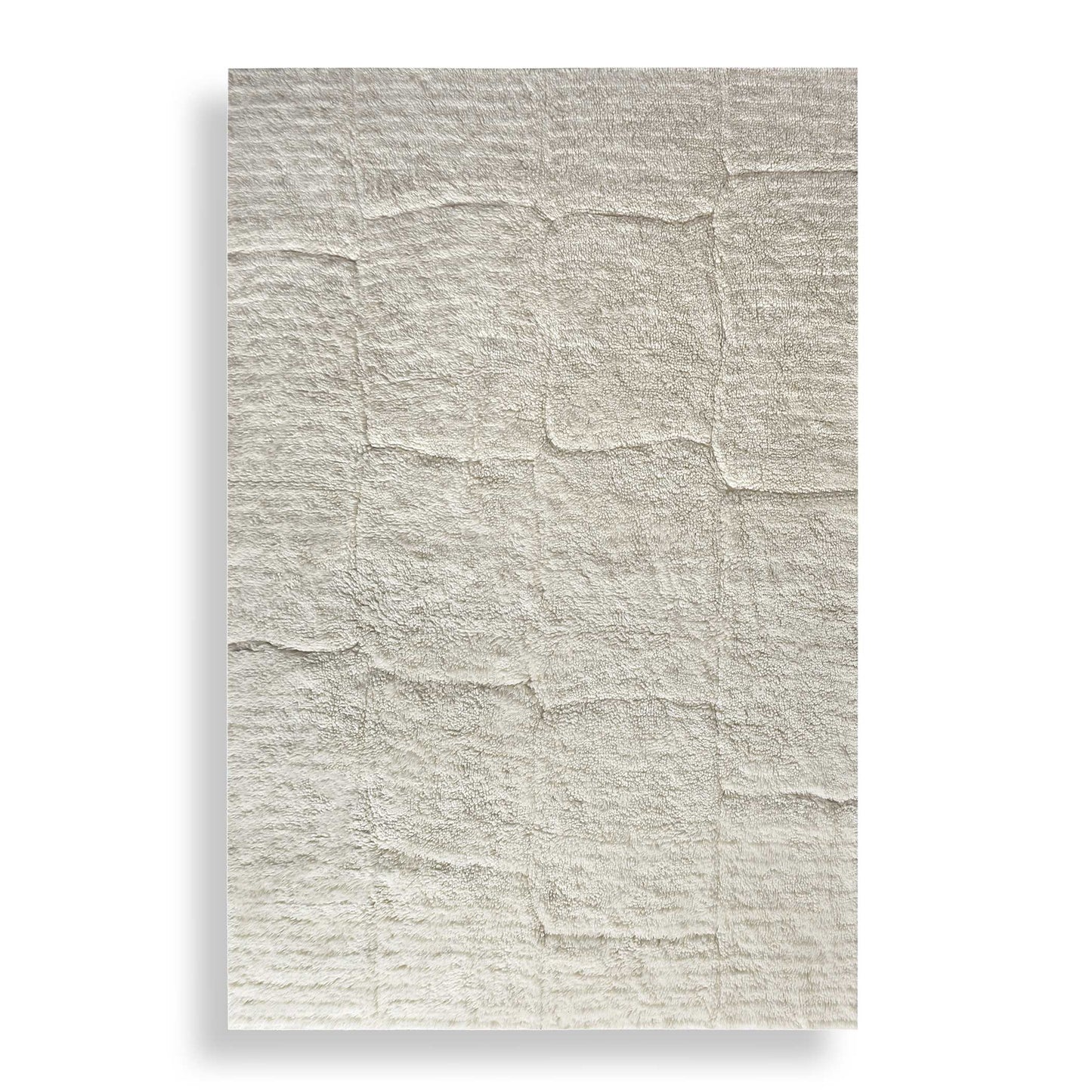 Miramar Cozy Shag 6 X 9 Rug
