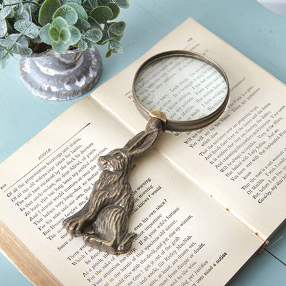 Rabbit Magnifying Glass