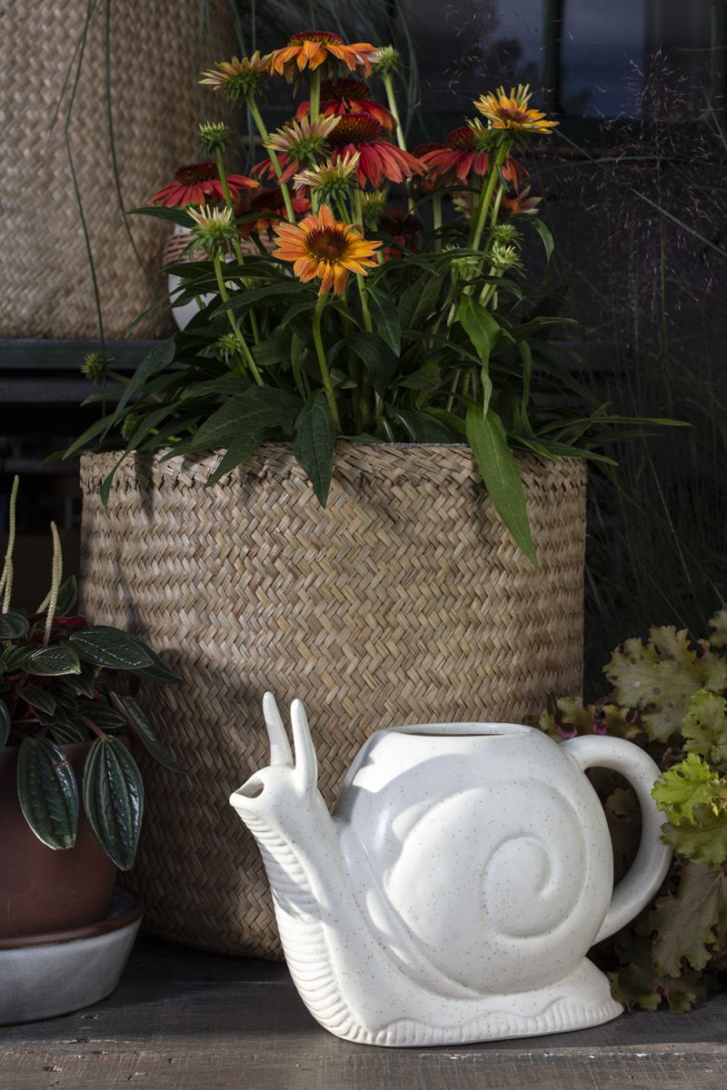 Slowpoke Watering Can