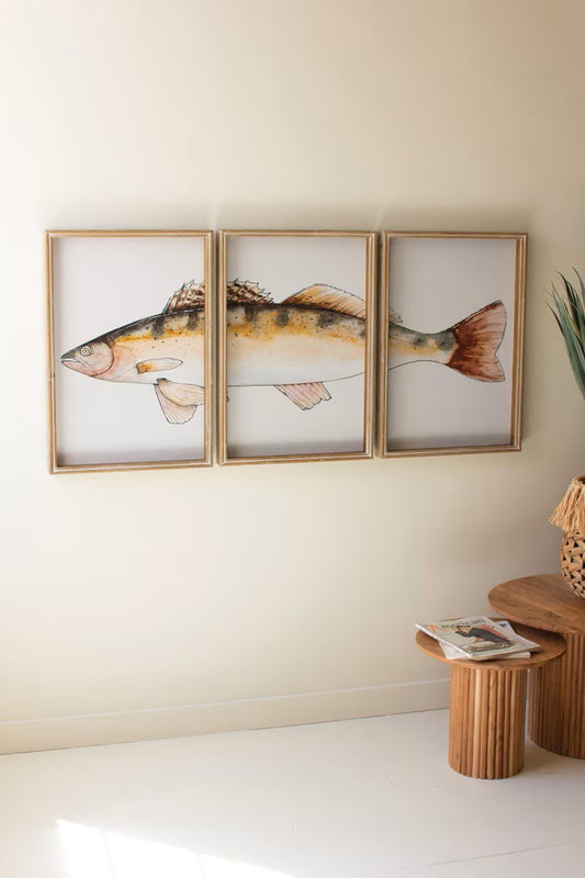 Triptych Trout Print Under Glass - Set of 3