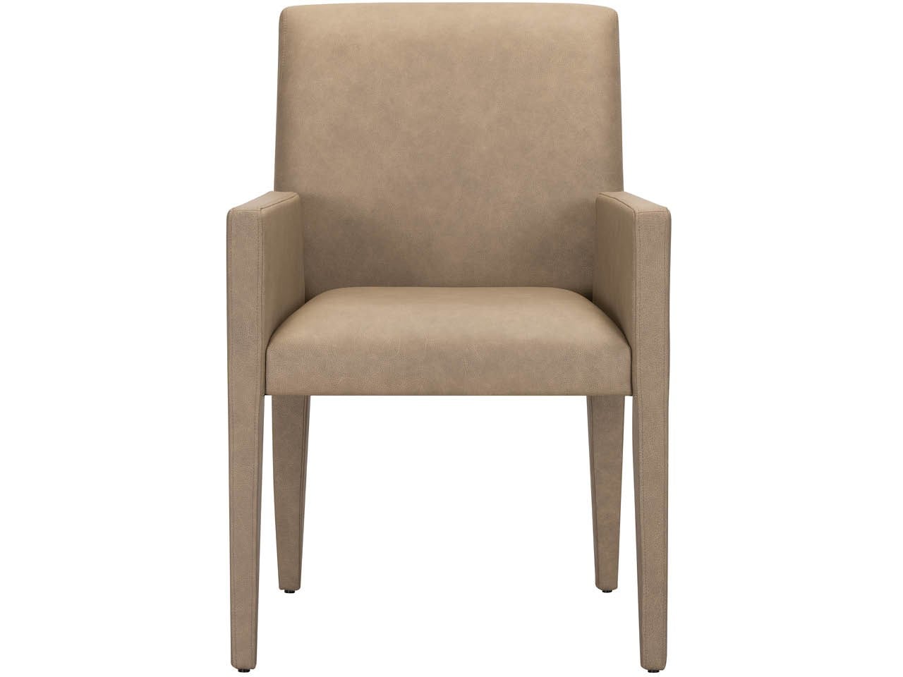 Brume Arm Chair