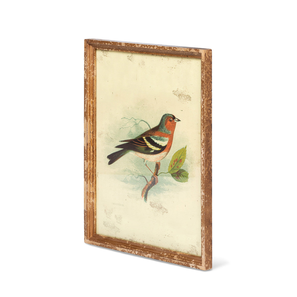 Vintage Bird Framed Prints - Set of 6